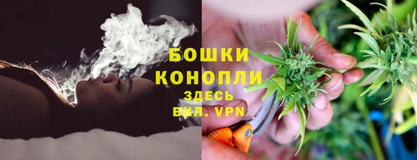 spice Алексин