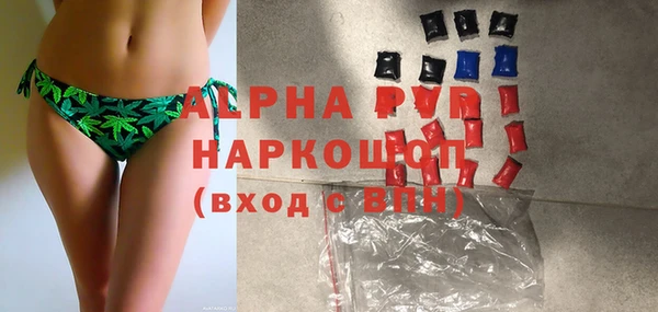 дмт Карпинск